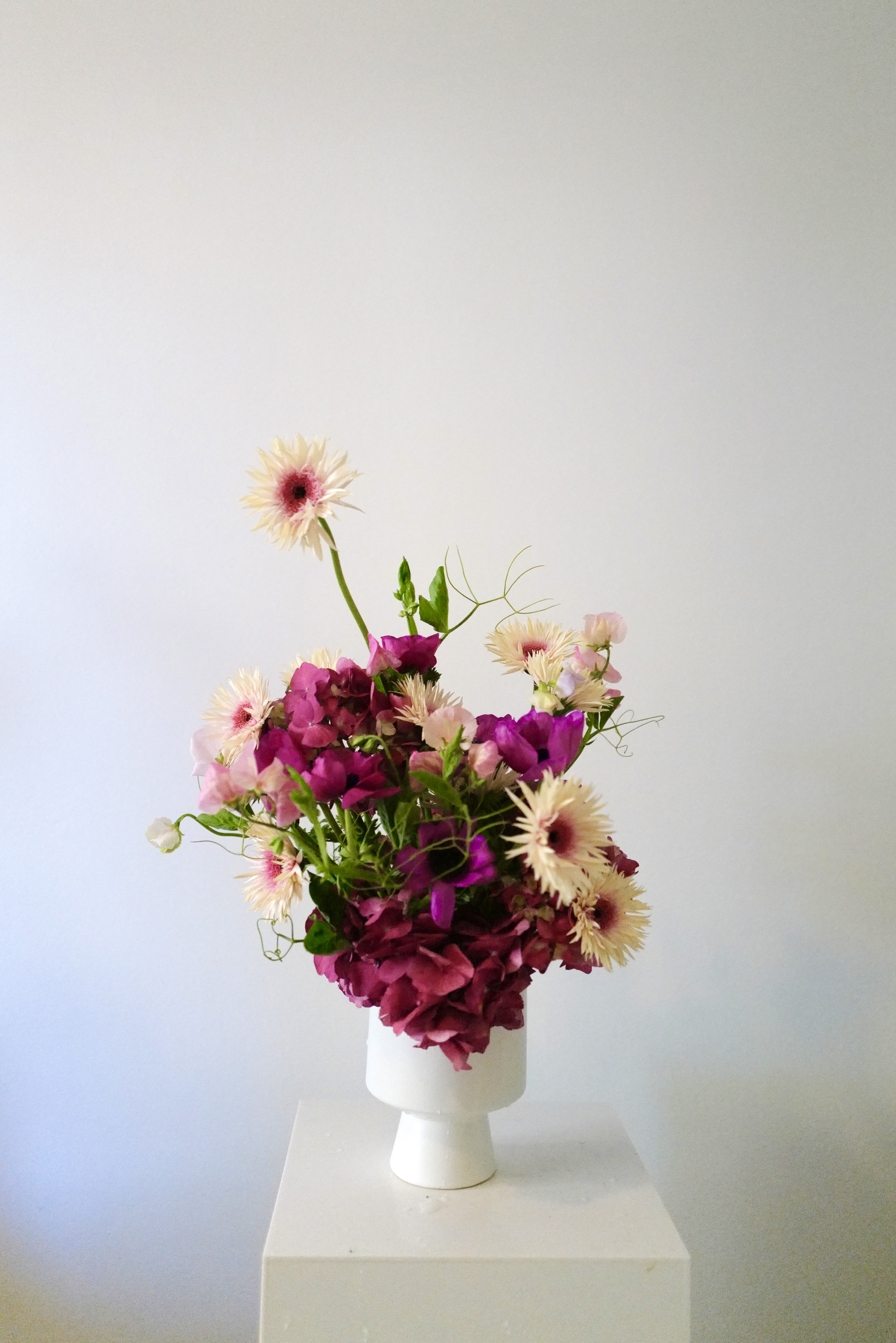 Citizens of Humanity floral work primary image